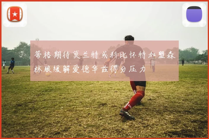 蒂格期待莫兰特或科比怀特加盟森林狼缓解爱德华兹得分压力