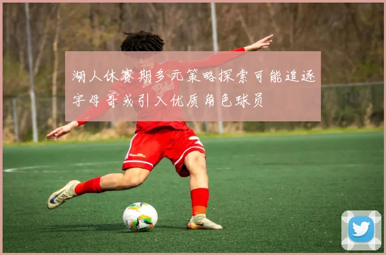 湖人休赛期多元策略探索可能追逐字母哥或引入优质角色球员